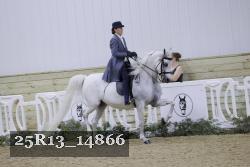 25R13_14866 thumbnail
