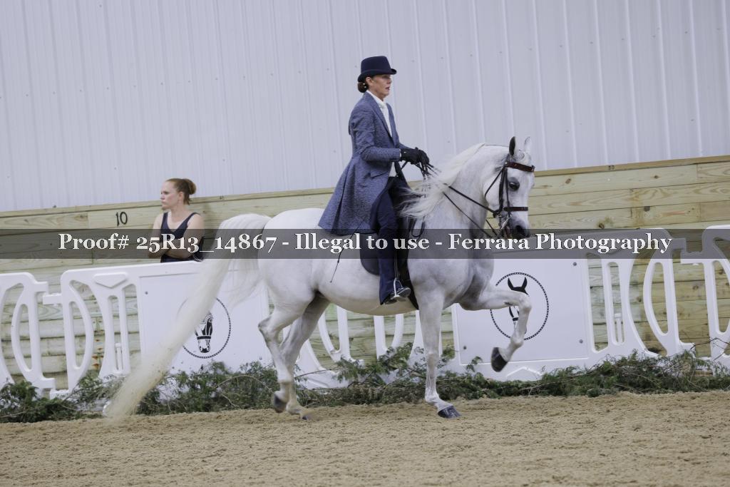 Proof Number 25R13_14867