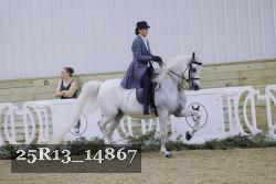 25R13_14867 thumbnail