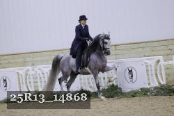 25R13_14868 thumbnail