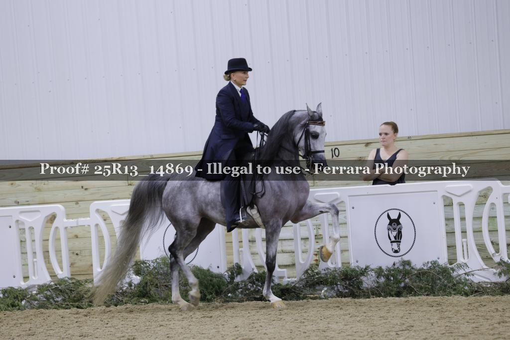 Proof Number 25R13_14869