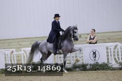 25R13_14869 thumbnail