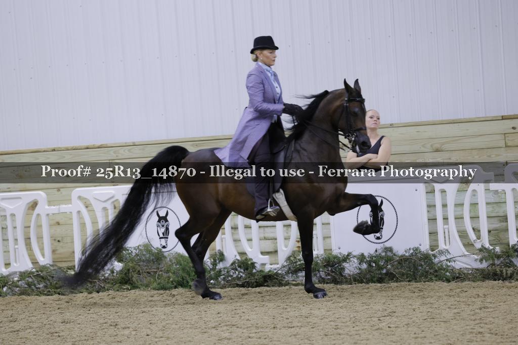 Proof Number 25R13_14870