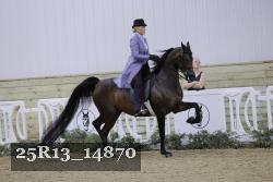 25R13_14870 thumbnail