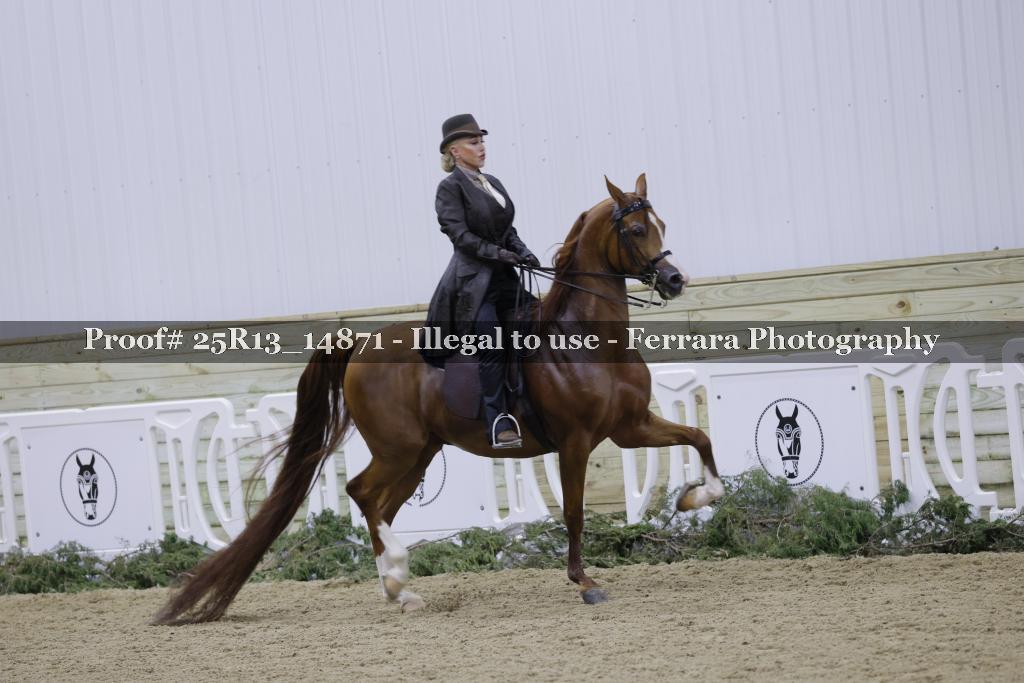 Proof Number 25R13_14871