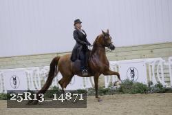 25R13_14871 thumbnail