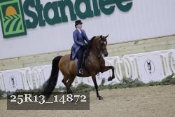 25R13_14872 thumbnail