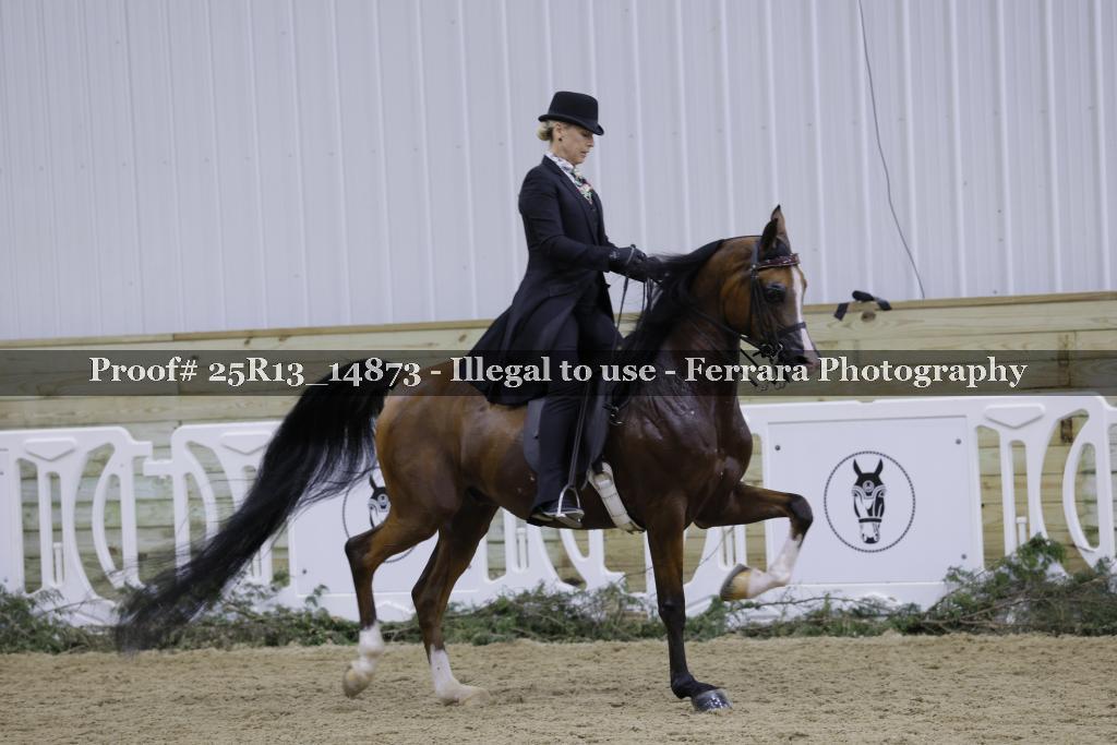 Proof Number 25R13_14873