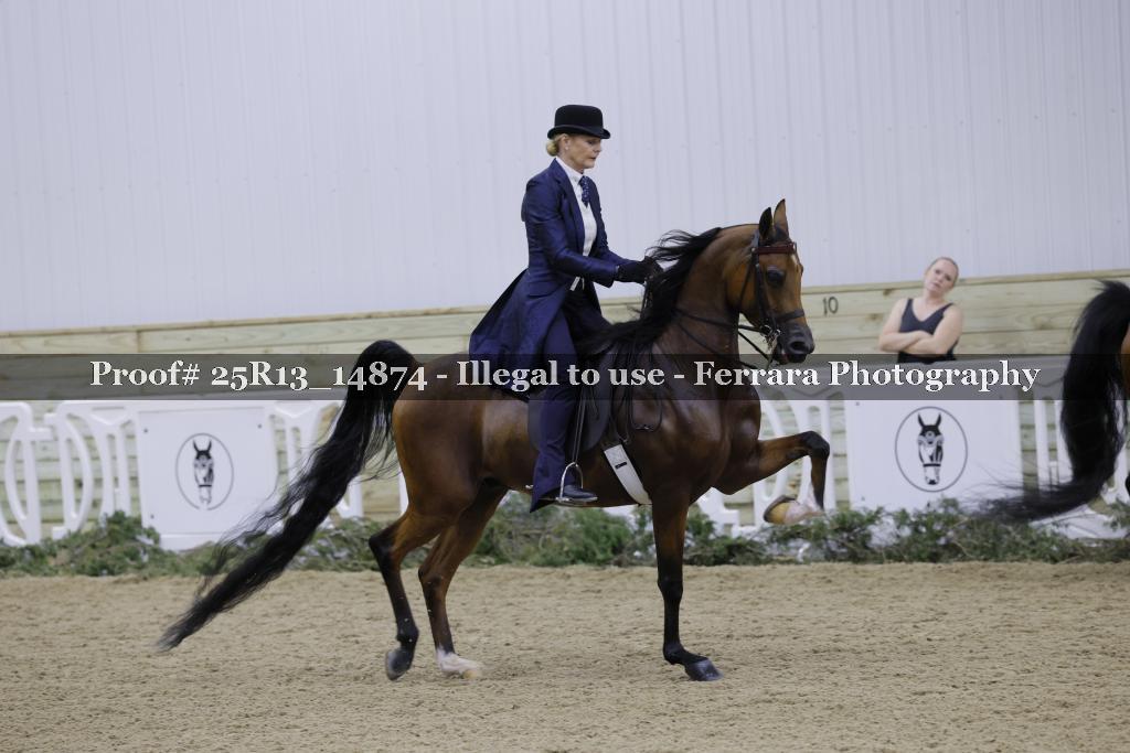 Proof Number 25R13_14874