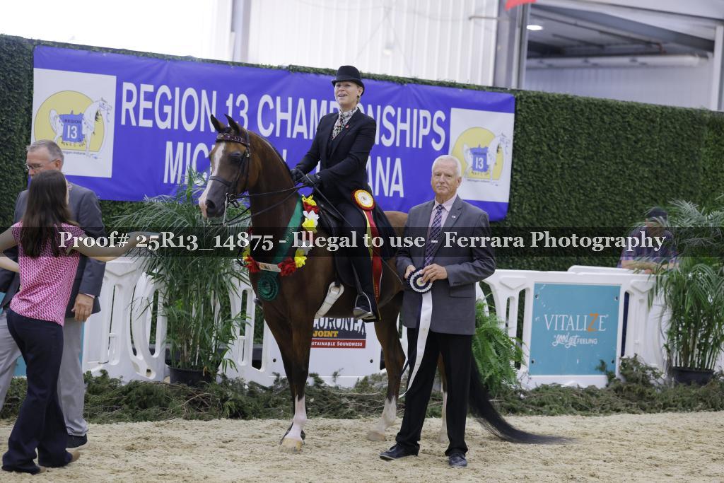 Proof Number 25R13_14875