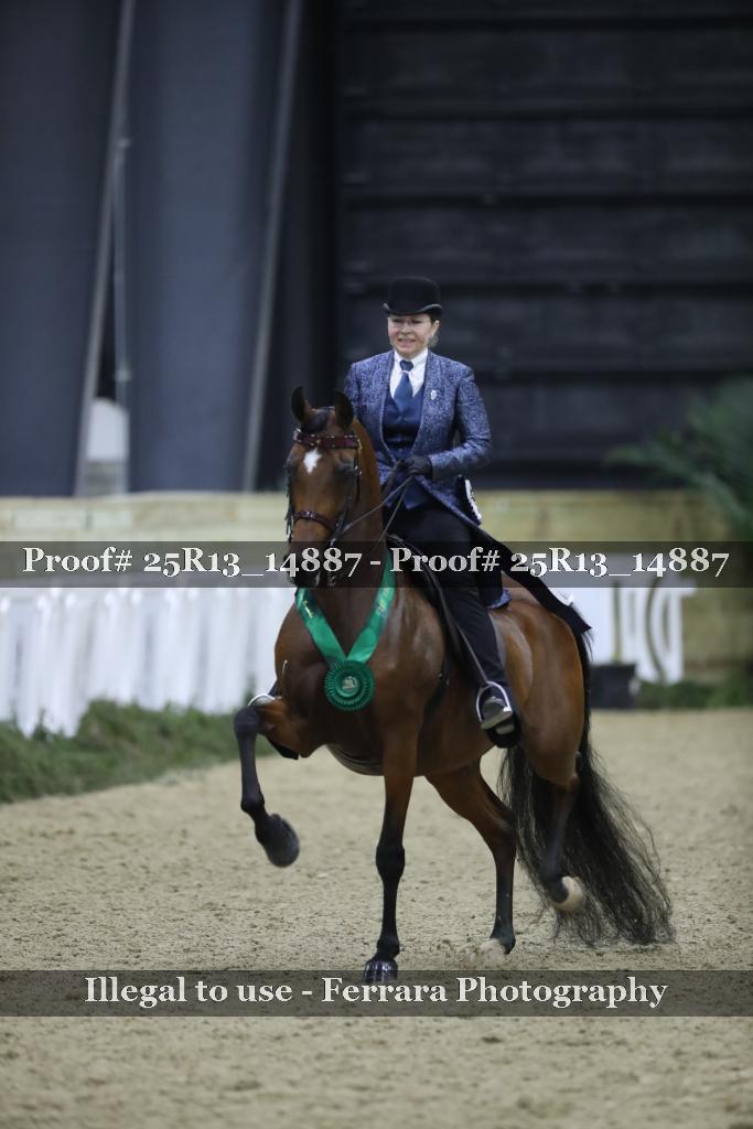 Proof Number 25R13_14887