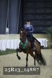25R13_14887 thumbnail