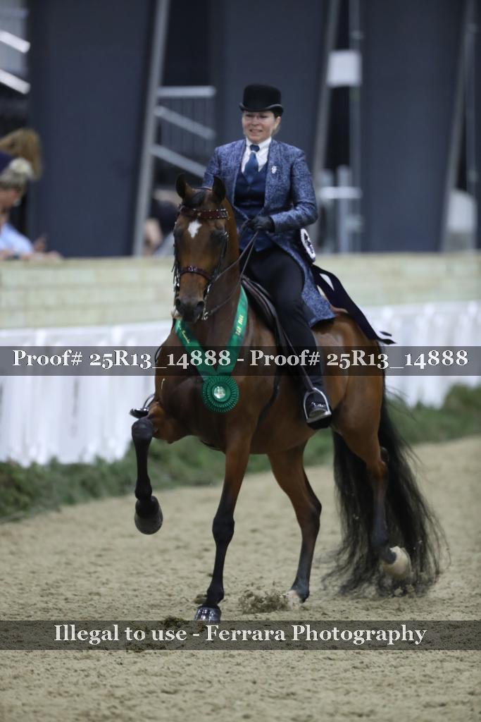 Proof Number 25R13_14888