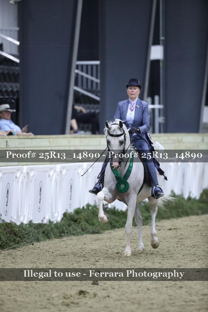 Proof Number 25R13_14890
