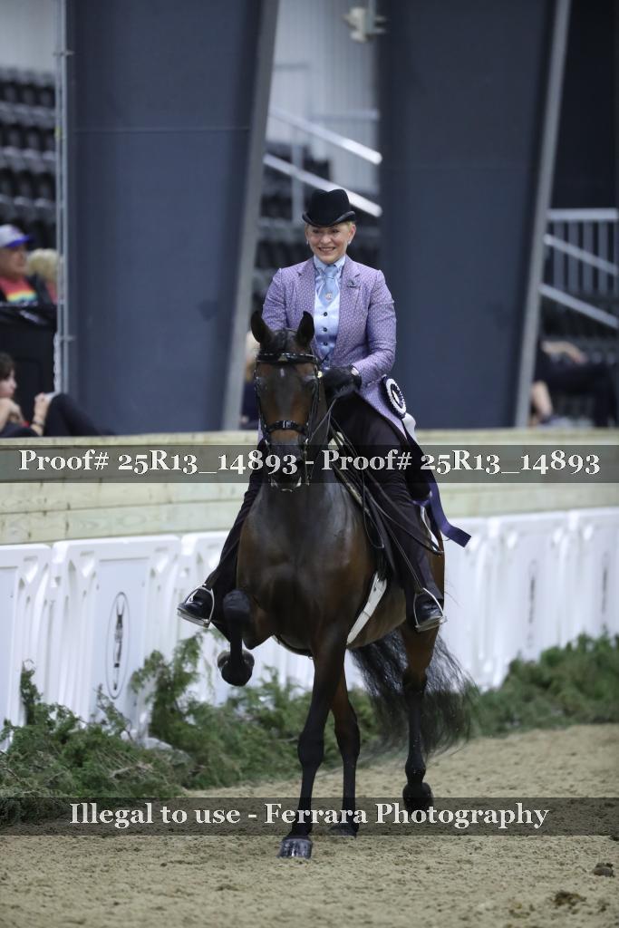Proof Number 25R13_14893