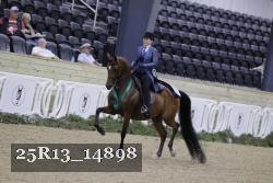 25R13_14898 thumbnail