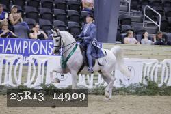 25R13_14909 thumbnail