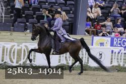 25R13_14914 thumbnail