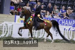 25R13_14918 thumbnail