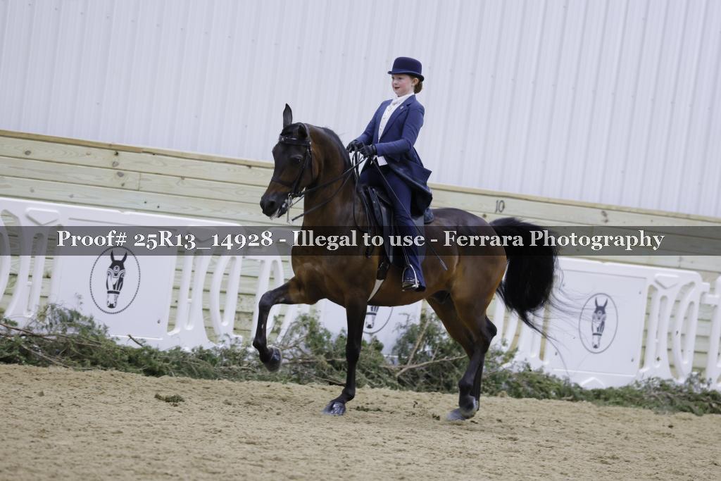 Proof Number 25R13_14928