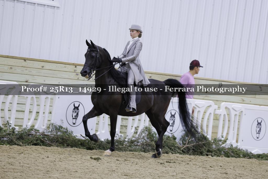 Proof Number 25R13_14929