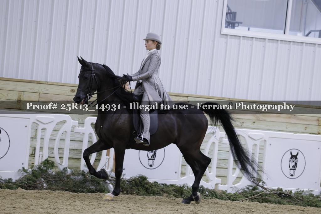 Proof Number 25R13_14931