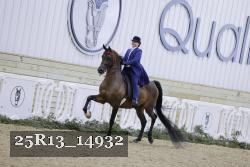 25R13_14932 thumbnail