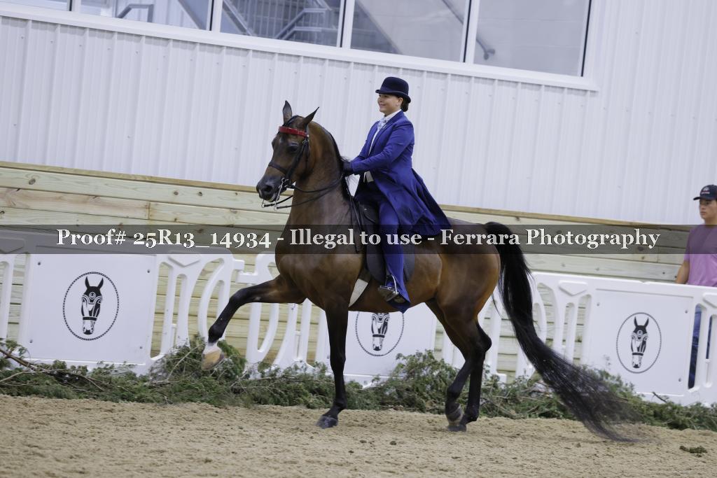 Proof Number 25R13_14934