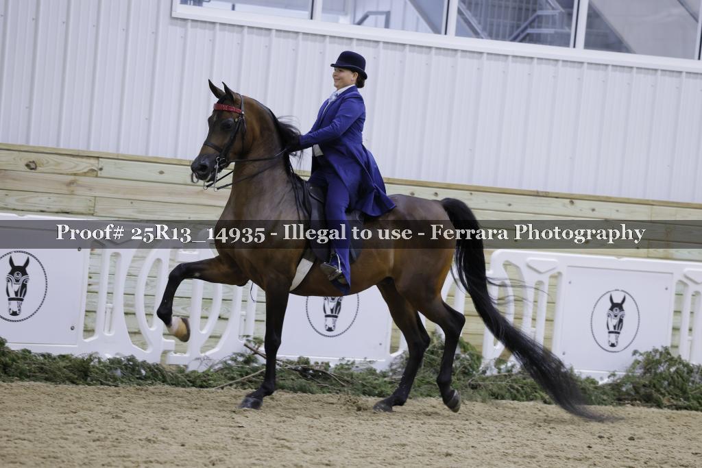 Proof Number 25R13_14935