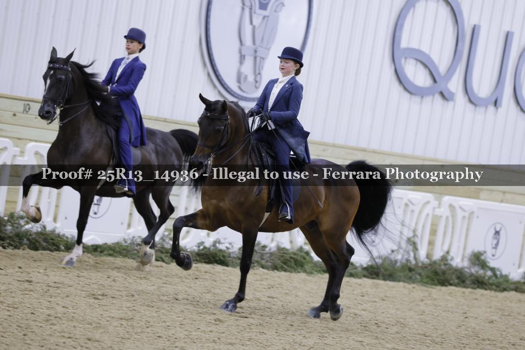 Proof Number 25R13_14936