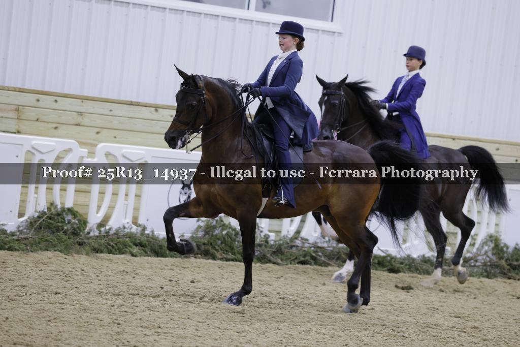 Proof Number 25R13_14937