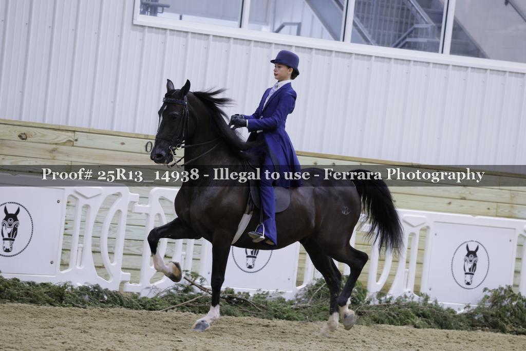 Proof Number 25R13_14938
