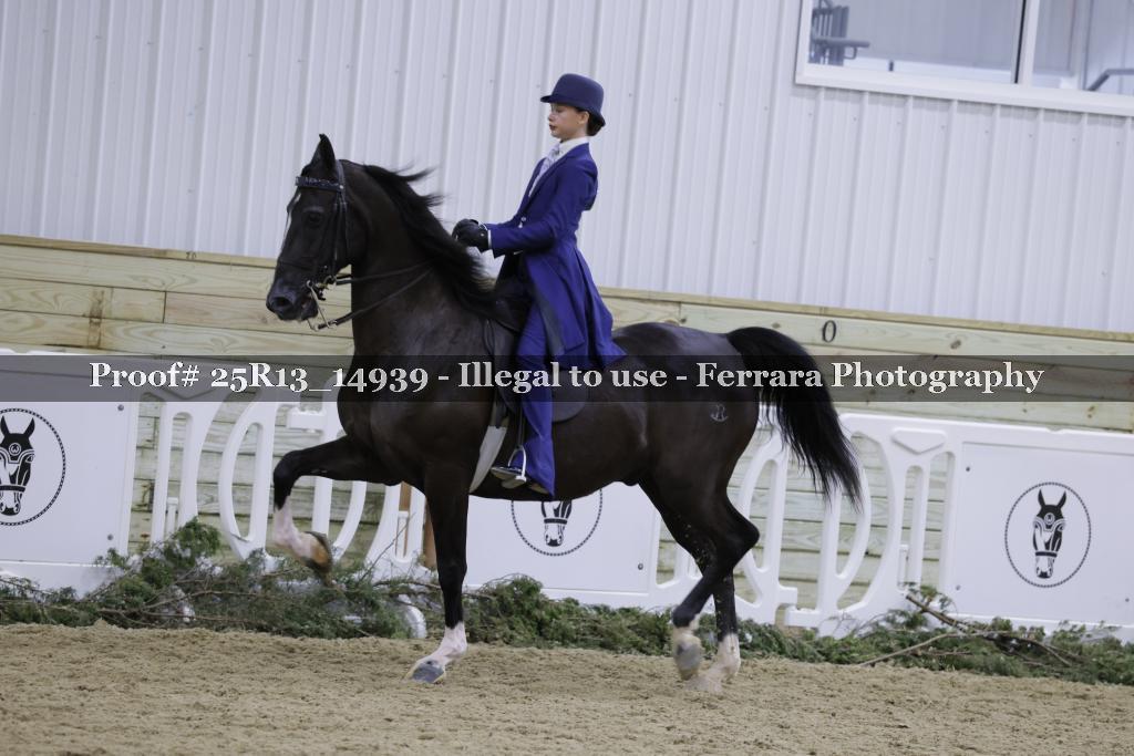 Proof Number 25R13_14939