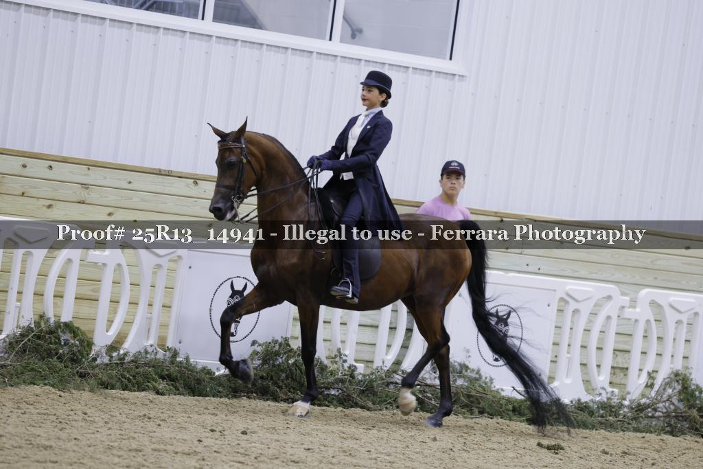 Proof Number 25R13_14941