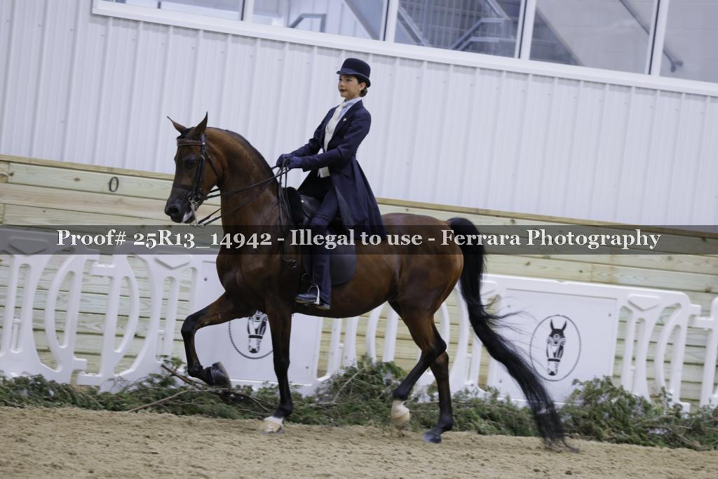 Proof Number 25R13_14942