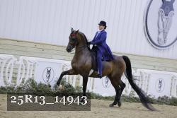 25R13_14943 thumbnail