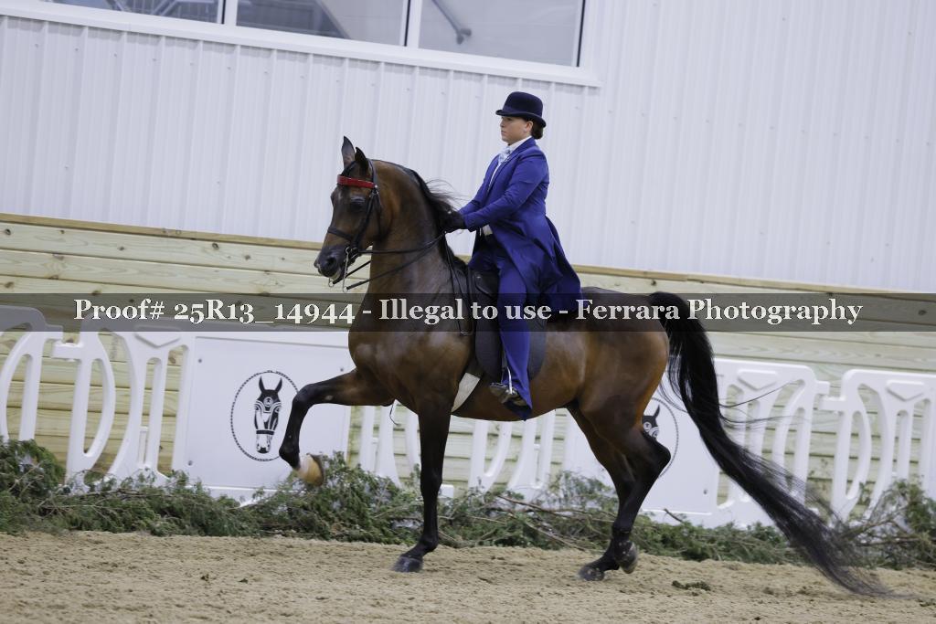 Proof Number 25R13_14944