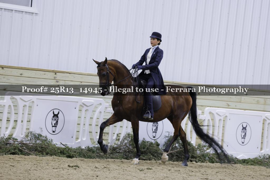 Proof Number 25R13_14945