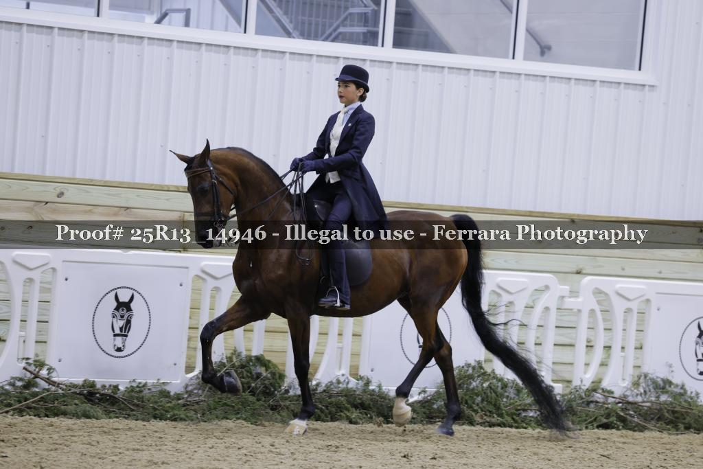 Proof Number 25R13_14946