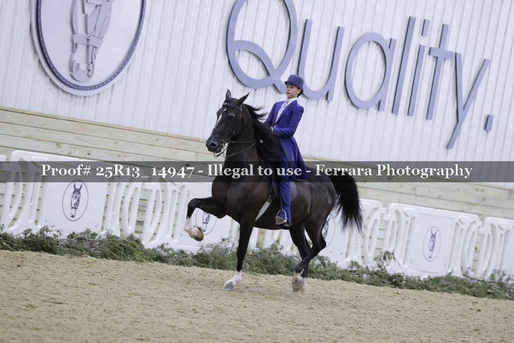Proof Number 25R13_14947