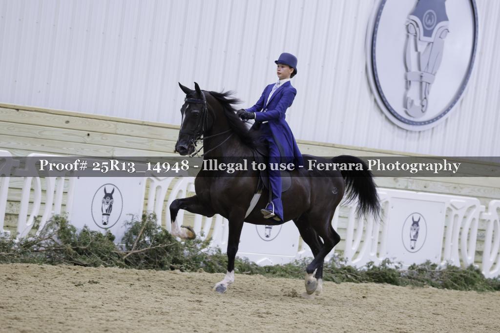 Proof Number 25R13_14948
