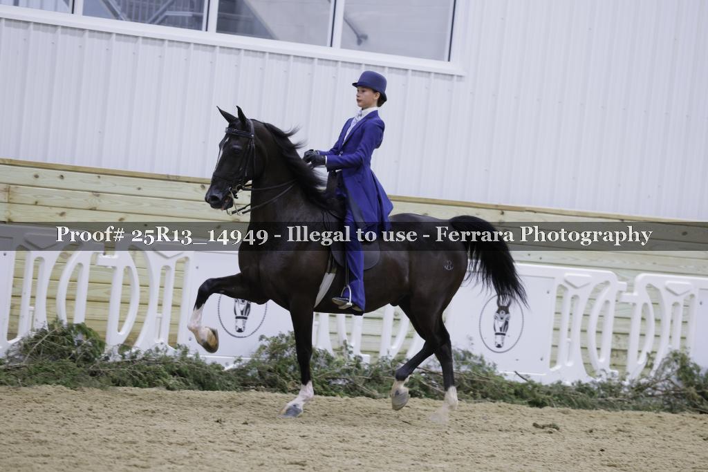 Proof Number 25R13_14949