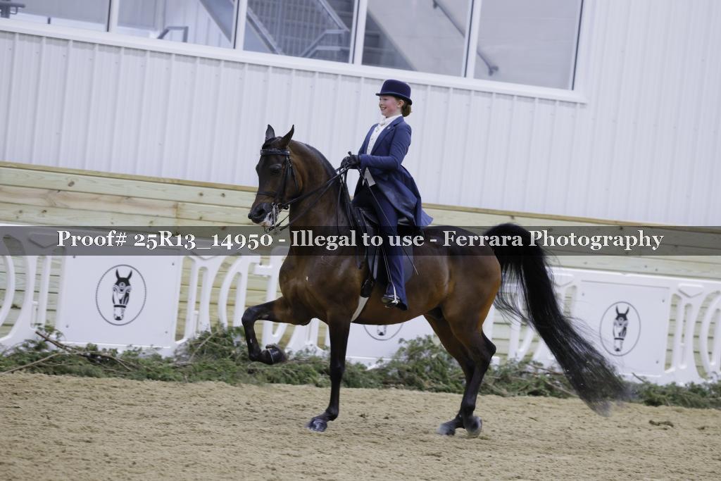 Proof Number 25R13_14950