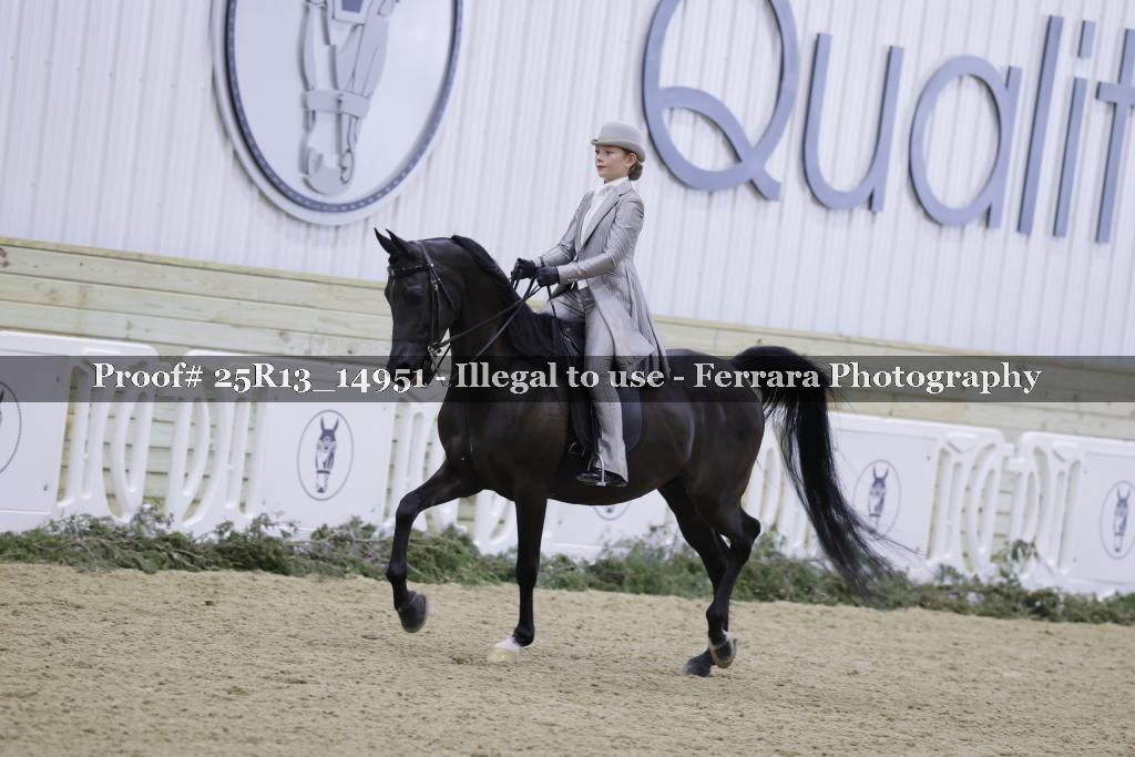 Proof Number 25R13_14951