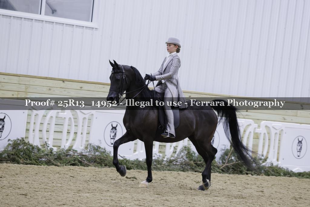 Proof Number 25R13_14952