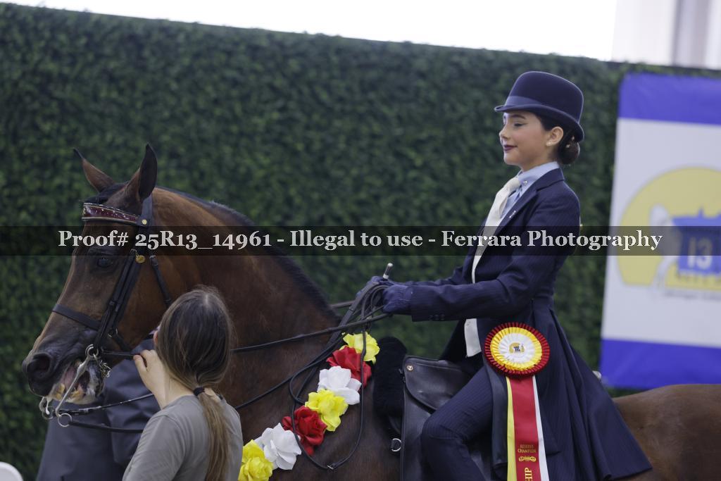 Proof Number 25R13_14961