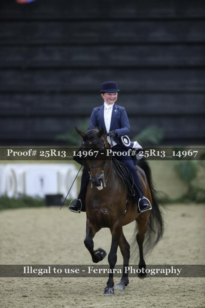 Proof Number 25R13_14967