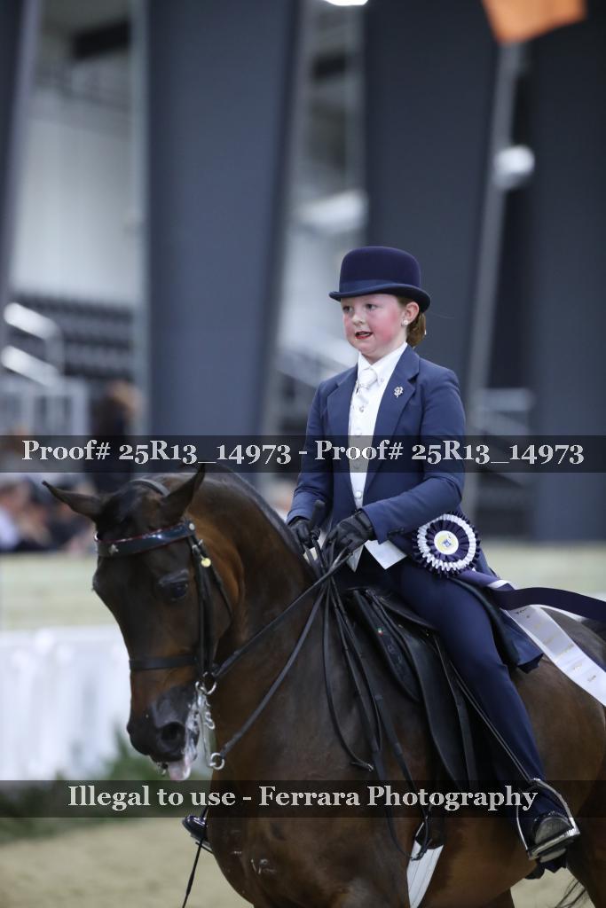 Proof Number 25R13_14973