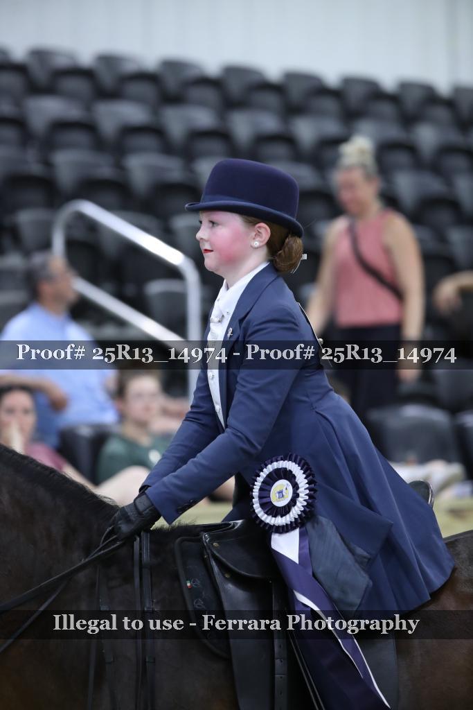Proof Number 25R13_14974