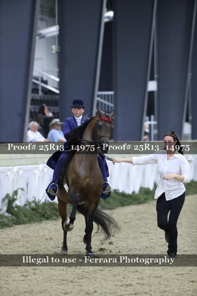 Proof Number 25R13_14975